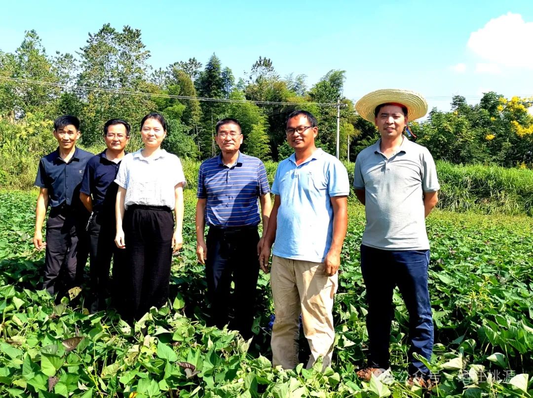 桃源富硒产品研究所(桃源研究富硒产品的意义)-硒宝网