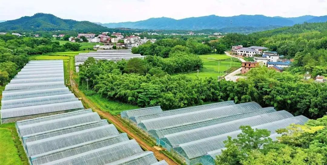 建设富硒农产品基地(富硒农业示范基地建设)-硒宝网