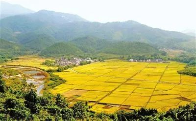 建设富硒农产品基地(富硒农业示范基地建设)-硒宝网