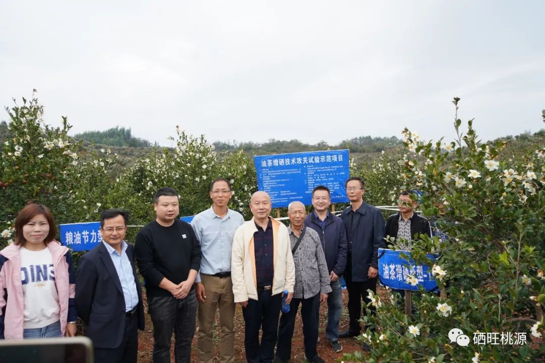 桃源富硒产品研究所（桃源研究富硒产品怎么样）-硒宝网