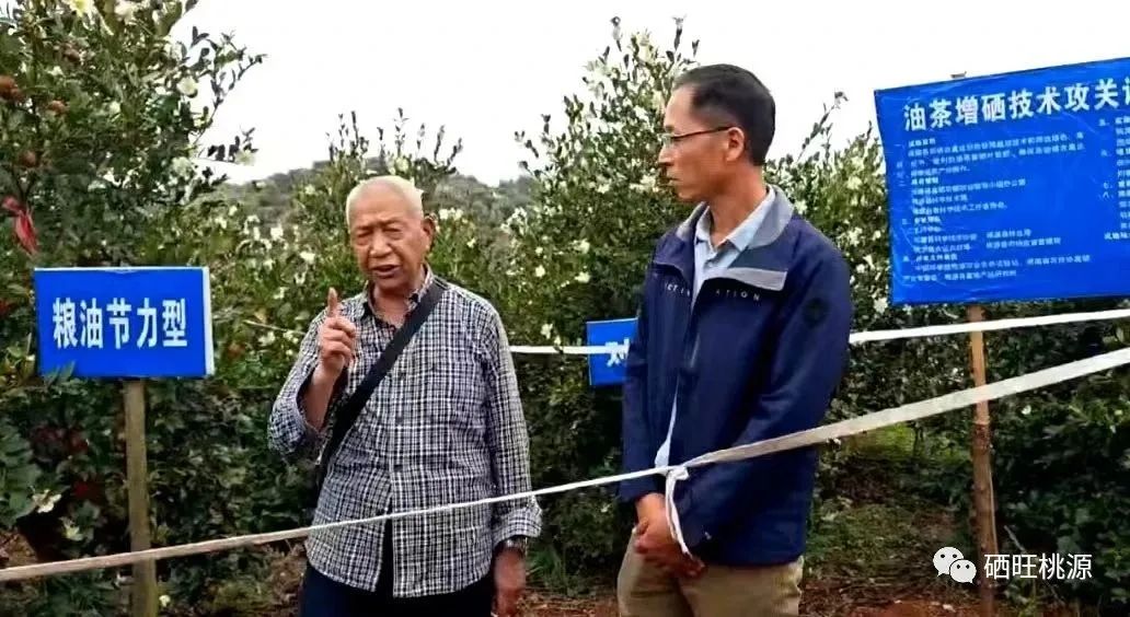 桃源富硒产品研究所（桃源研究富硒产品怎么样）-硒宝网