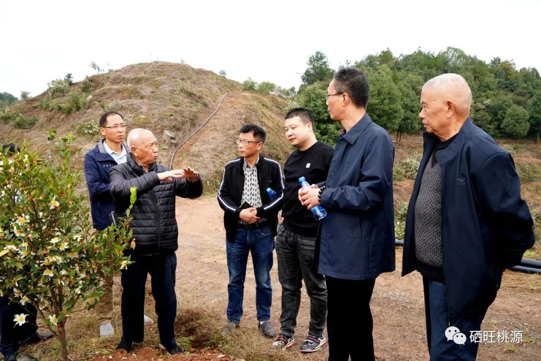 桃源富硒产品研究所（桃源研究富硒产品怎么样）-硒宝网