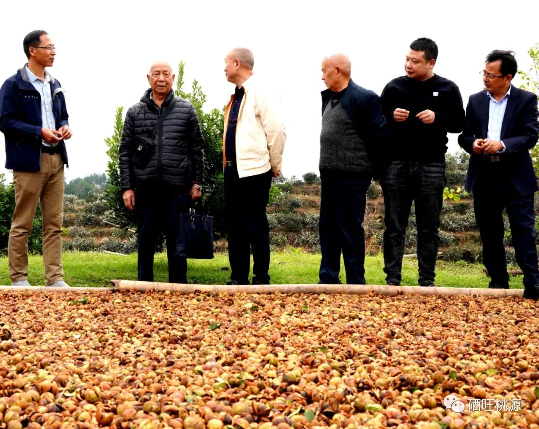 桃源富硒产品研究所（桃源研究富硒产品怎么样）-硒宝网