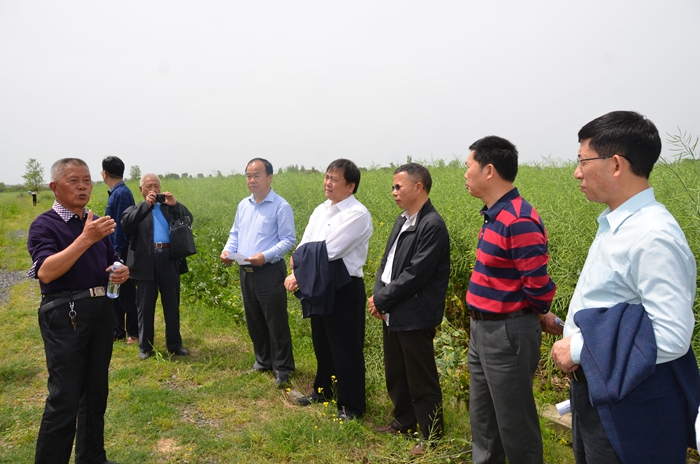 桃源富硒产品研究所（桃源富硒调查）-硒宝网