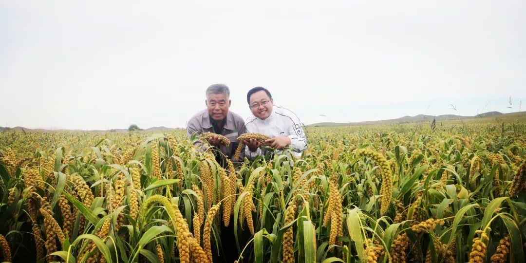 富硒农产品开发总结(富硒农产品销售模式)-硒宝网