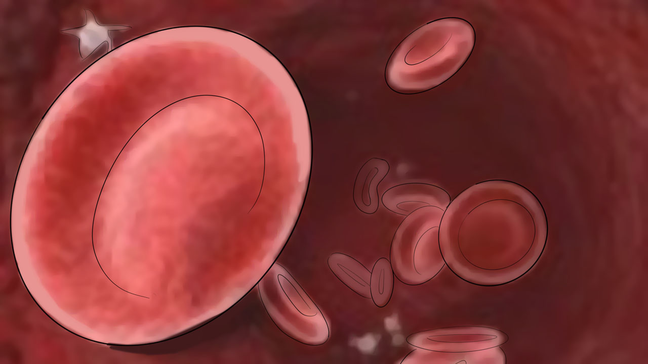 钠偏低怎么补（钠偏低吃什么补）-硒宝网