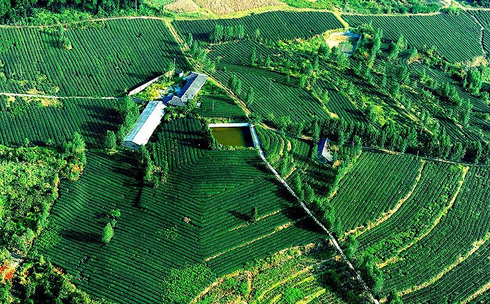 富硒农产品怎样生产(富硒农产品市场前景)-硒宝网