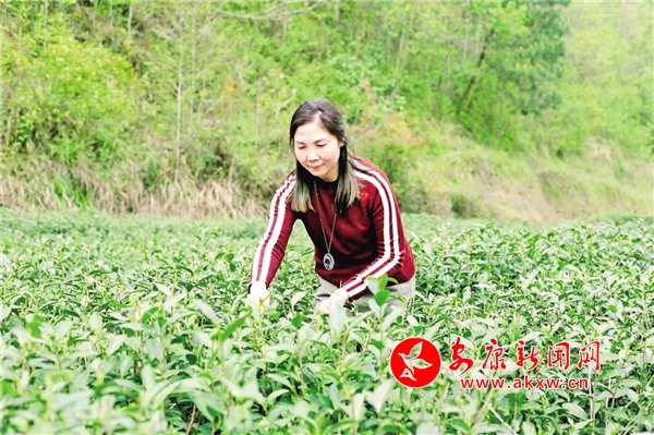 安康宴坝镇富硒产品(安康富硒食品有限公司)-硒宝网
