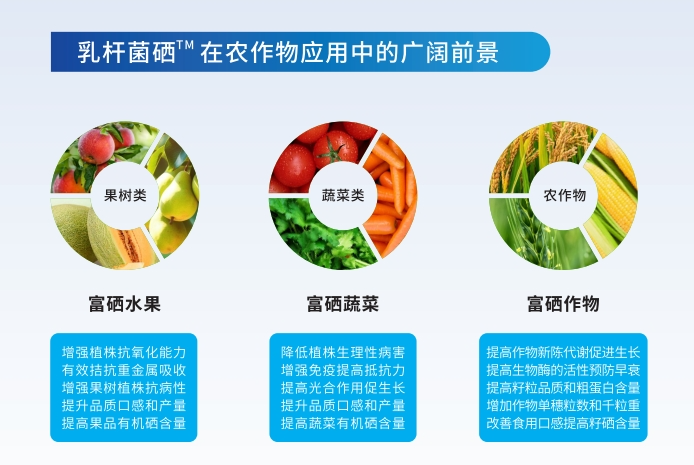 济南富硒农产品展览(山东省富硒农产品协会电话)-硒宝网