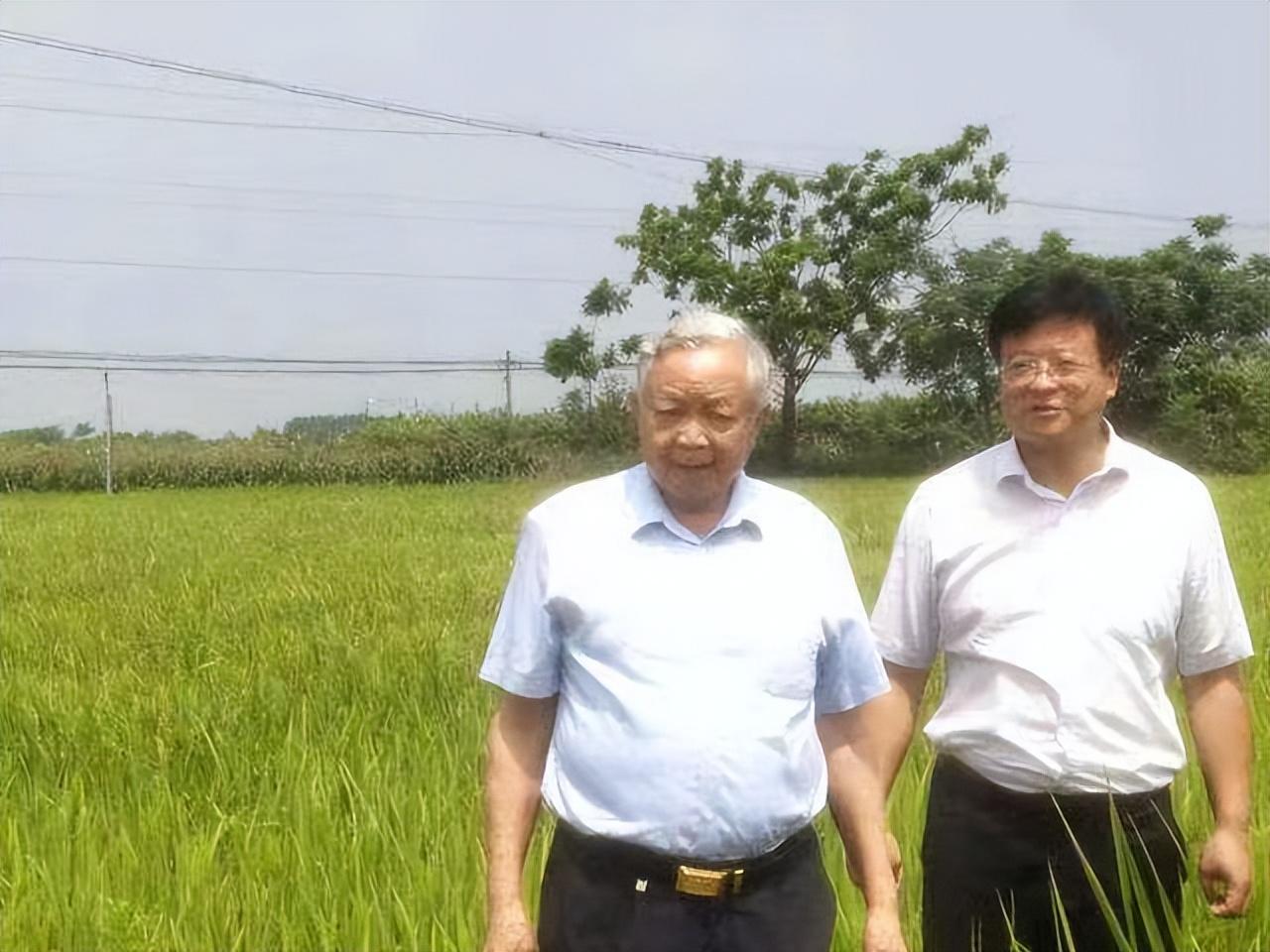 广西富硒有机农产品（广西富硒）-硒宝网