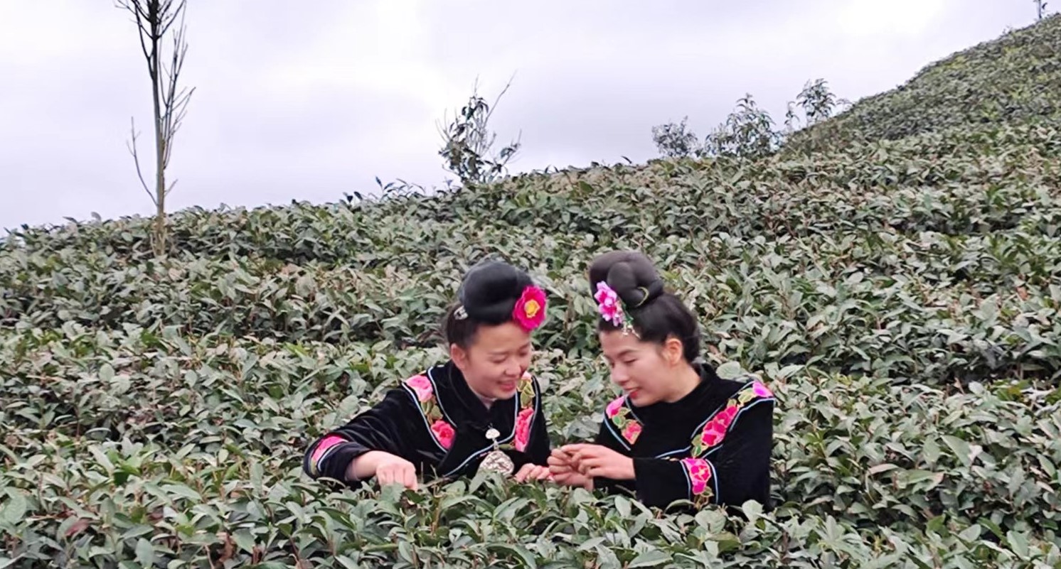 广西富硒有机农产品（广西富硒）-硒宝网