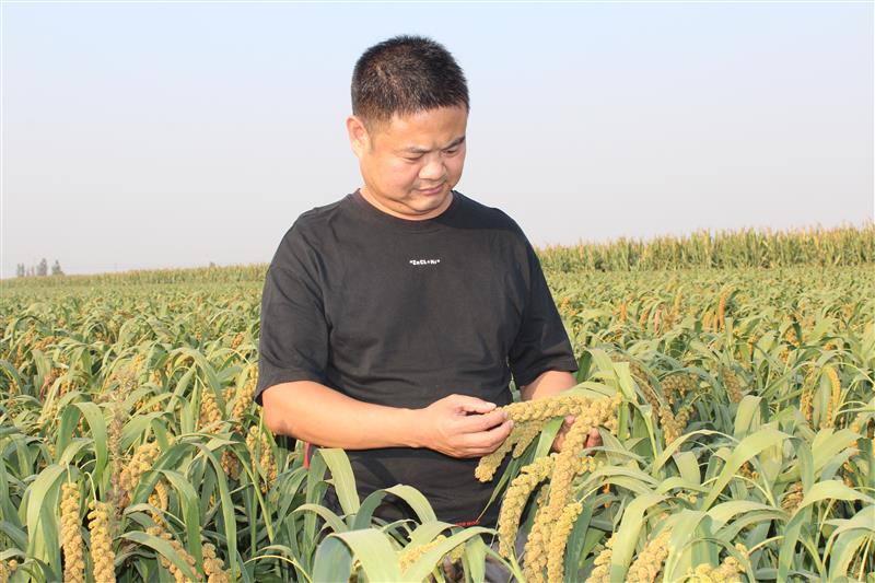 广西富硒有机农产品（广西富硒）-硒宝网