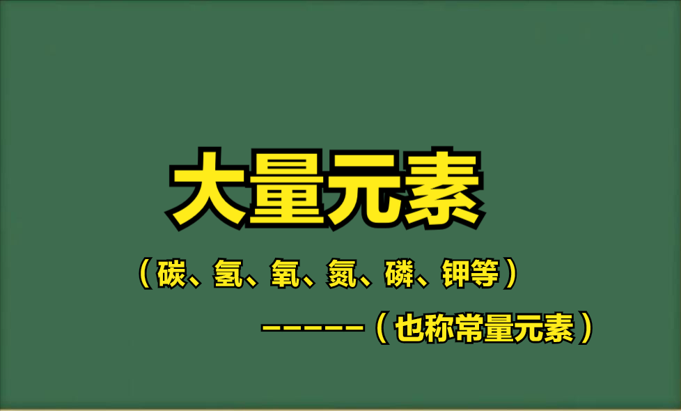 微量元素钙偏高（微量元素钙增高）-硒宝网
