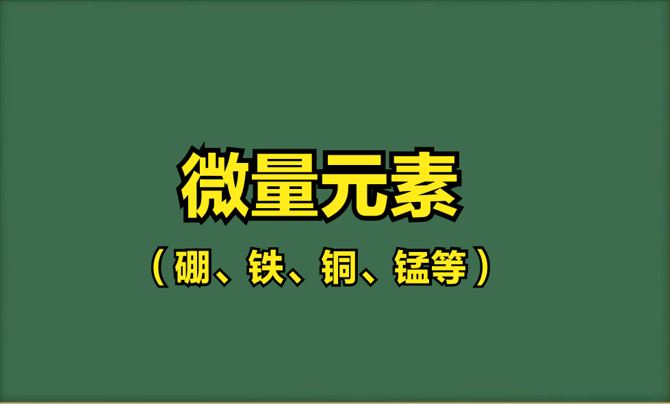 微量元素钙偏高（微量元素钙增高）-硒宝网