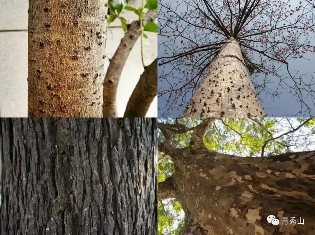 南宁富硒农产品基地（南宁农基地富硒产品有哪些）-硒宝网