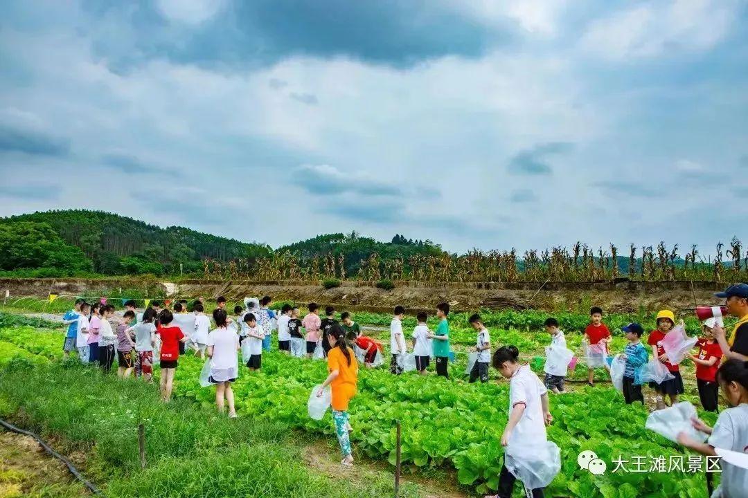 南宁富硒农产品基地（南宁农基地富硒产品有哪些）-硒宝网