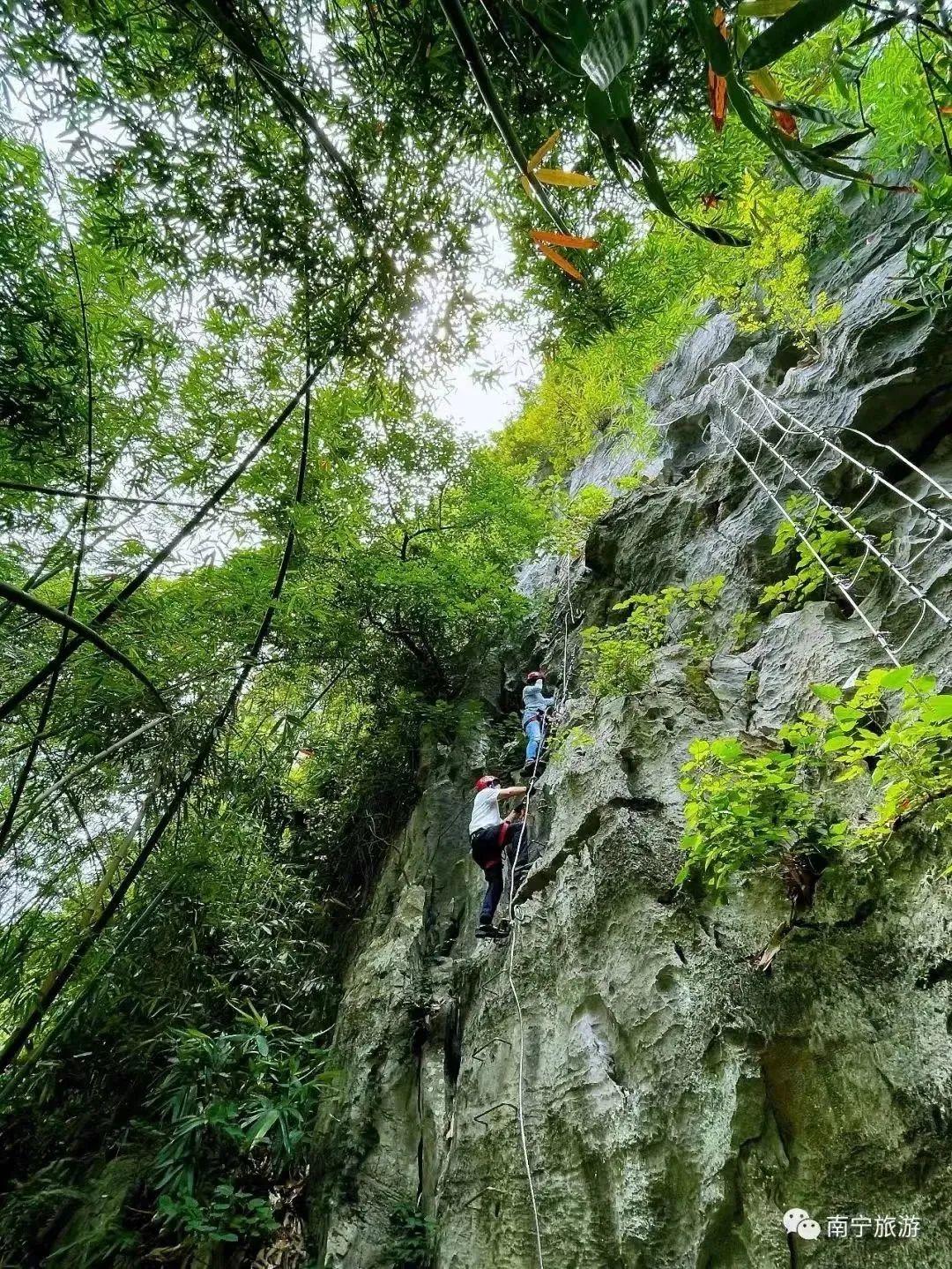 南宁富硒农产品基地（南宁农基地富硒产品有哪些）-硒宝网