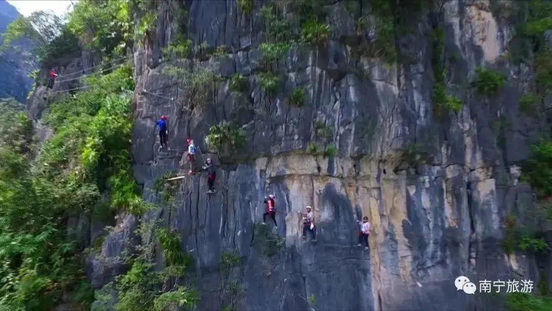 南宁富硒农产品基地（南宁农基地富硒产品有哪些）-硒宝网