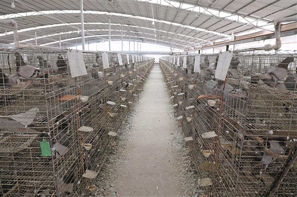 南宁富硒农产品基地（广西富硒农产品）-硒宝网