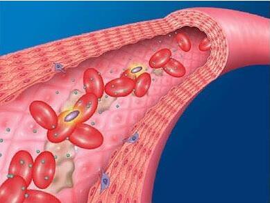 医用微量元素分析仪(微量元素仪器多少钱一台)-硒宝网