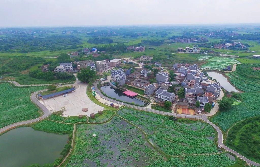 南宁富硒农产品基地(南宁农基地富硒产品介绍)-硒宝网