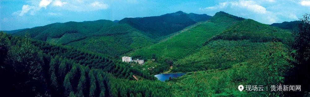 南宁富硒农产品基地(南宁农基地富硒产品介绍)-硒宝网