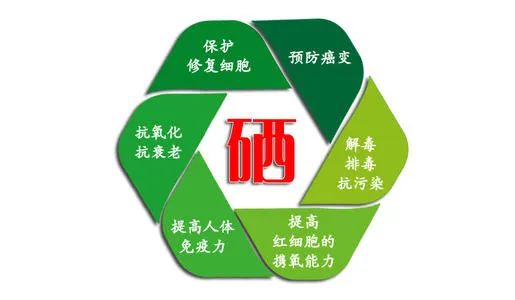 微量元素有几种(微量元素有哪几类)-硒宝网