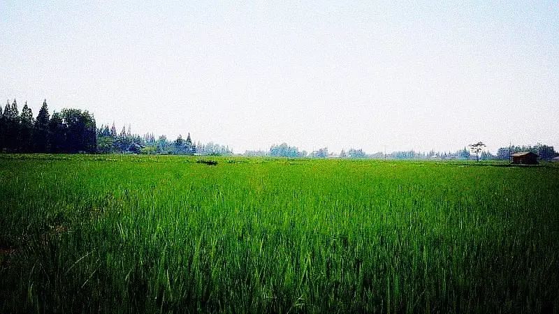 新田县富硒产品企业（新田富硒农业）-硒宝网