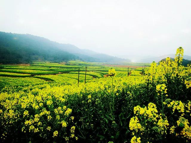 新田县富硒产品企业（新田富硒农业）-硒宝网