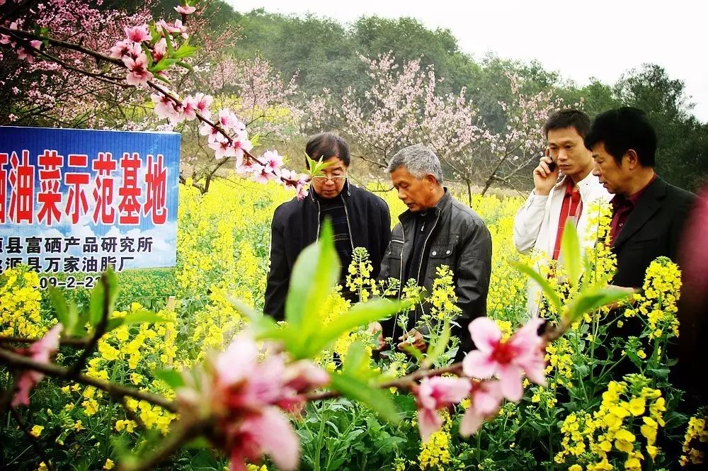 新田县富硒产品企业（新田富硒农业）-硒宝网