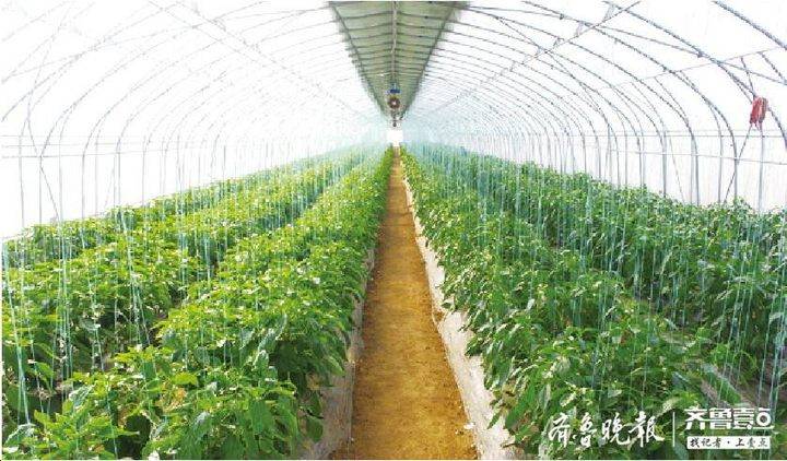 富硒农产品加工项目（富硒农场产品）-硒宝网