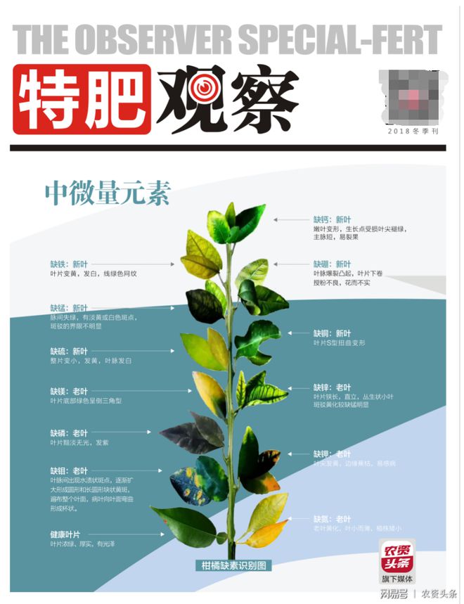 天然培养基为什么不需要另加微量元素（微量元素在培养基中的作用）-硒宝网