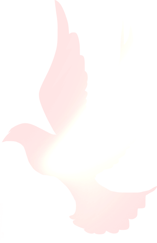 新田县富硒产品企业（县新田富硒企业产品怎么样）-硒宝网