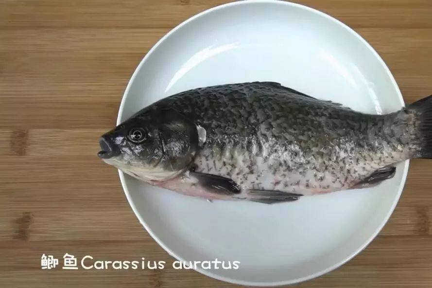 喝排骨汤补钙吗(排骨煲汤补钙吗)-硒宝网