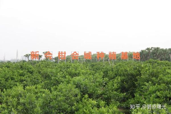 富硒农产品加工过程(富硒农产品市场需求)-硒宝网