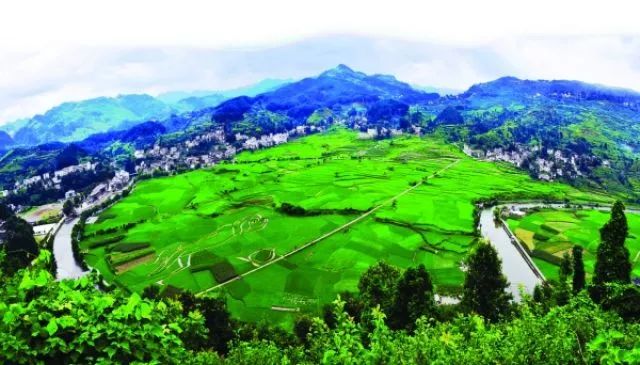 广西富硒农产品游勇(广西富硒农产品游勇)-硒宝网