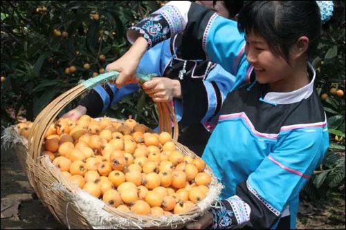 广西富硒农产品游勇(广西富硒农产品游勇)-硒宝网