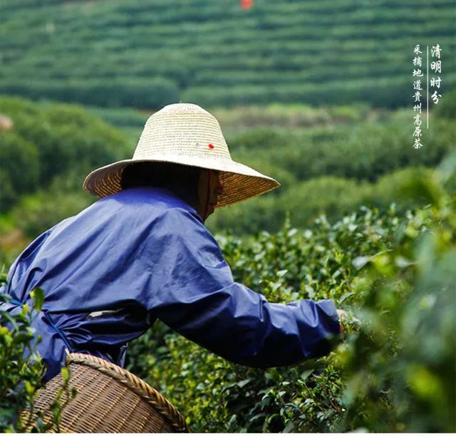 广西富硒农产品游勇(广西富硒农产品游勇)-硒宝网