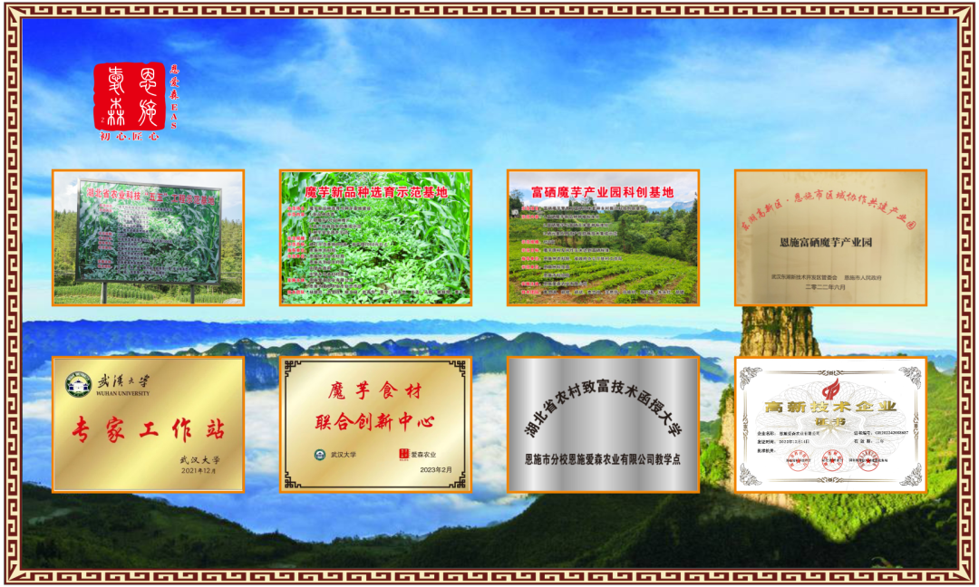 富硒功能农产品加工（农用富硒）-硒宝网