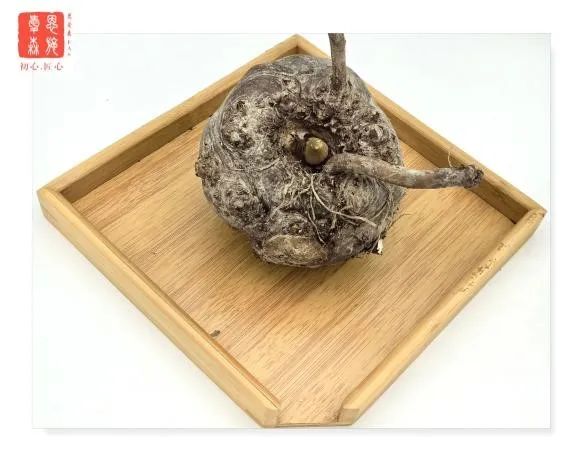 富硒功能农产品加工（农用富硒）-硒宝网