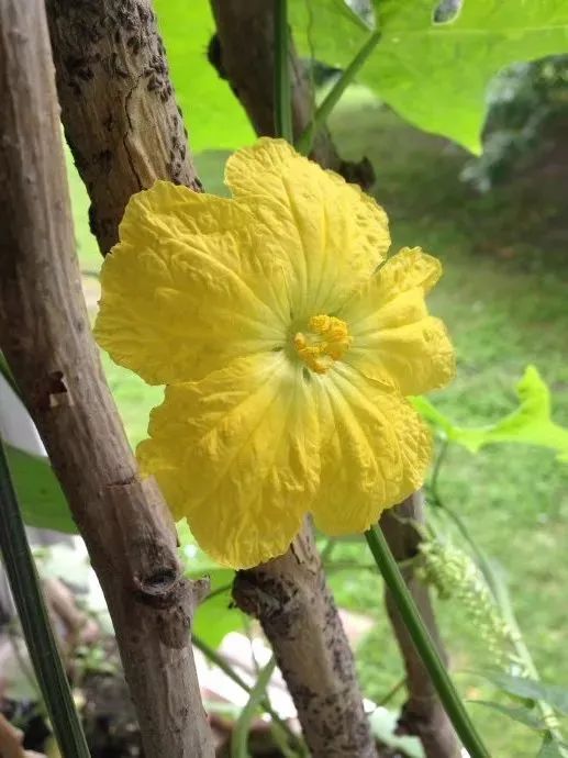 重庆石蟆镇富硒产品(重庆富硒水)-硒宝网