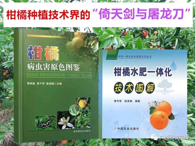 广西富硒农产品清单(广西富硒产品有哪些)-硒宝网