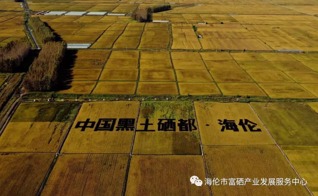 富硒农产品怎么申请(富硒产品认证申请)-硒宝网