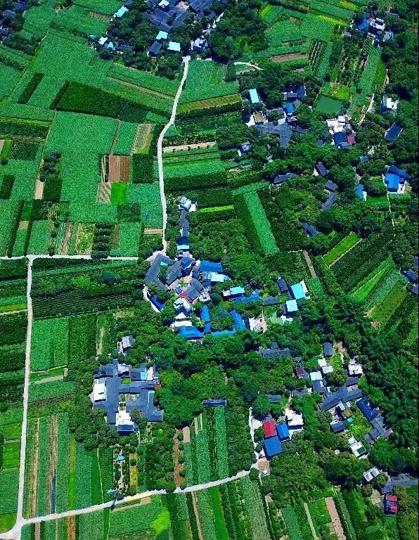 重庆石蟆镇富硒产品(江津富硒产品)-硒宝网