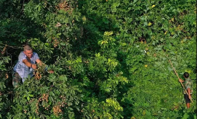 重庆石蟆镇富硒产品(江津富硒产品)-硒宝网