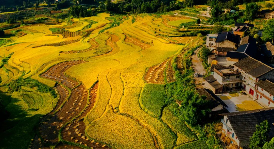 重庆石蟆镇富硒产品(江津富硒产品)-硒宝网