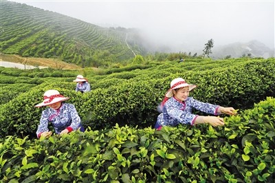 富硒产品专卖店东营（专卖东营店富硒产品是正品吗）-硒宝网