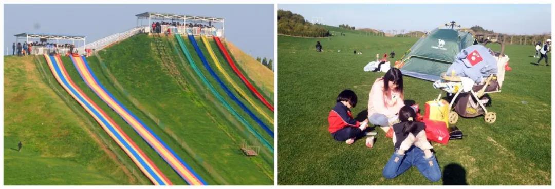 鄱阳湖富硒大米产品(江西鄱阳湖大米价格)-硒宝网