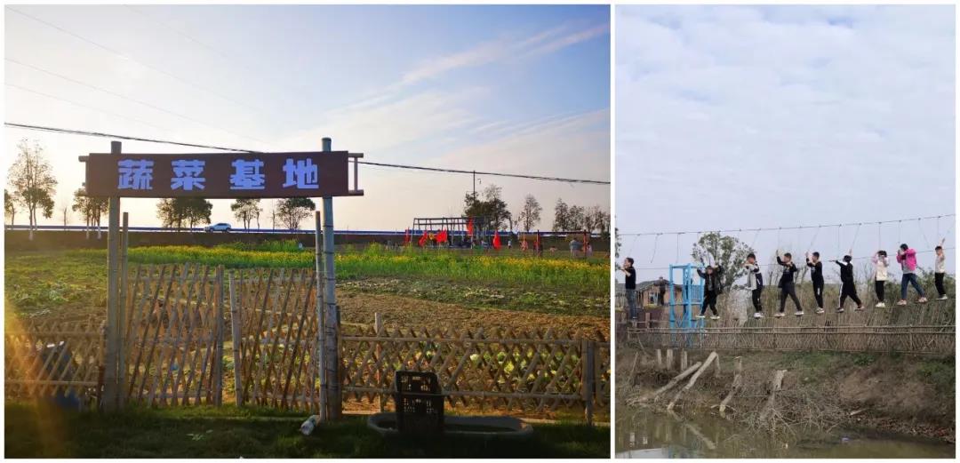 鄱阳湖富硒大米产品(江西鄱阳湖大米价格)-硒宝网