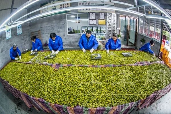 重庆石蟆镇富硒产品(重庆富硒农产品)-硒宝网